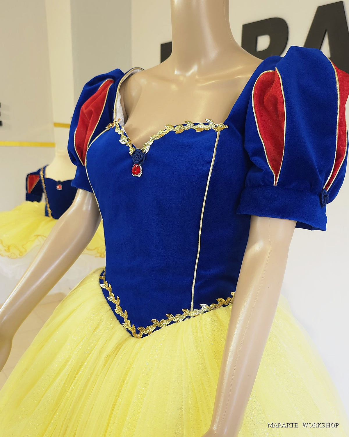 The Snow Princess Tutu Dress for Women -Mommy & Me -Preorders 🍎💙💛