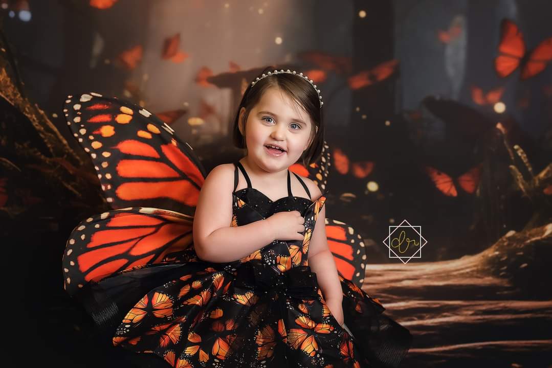 Monarch Cupcake Butterfly Dress