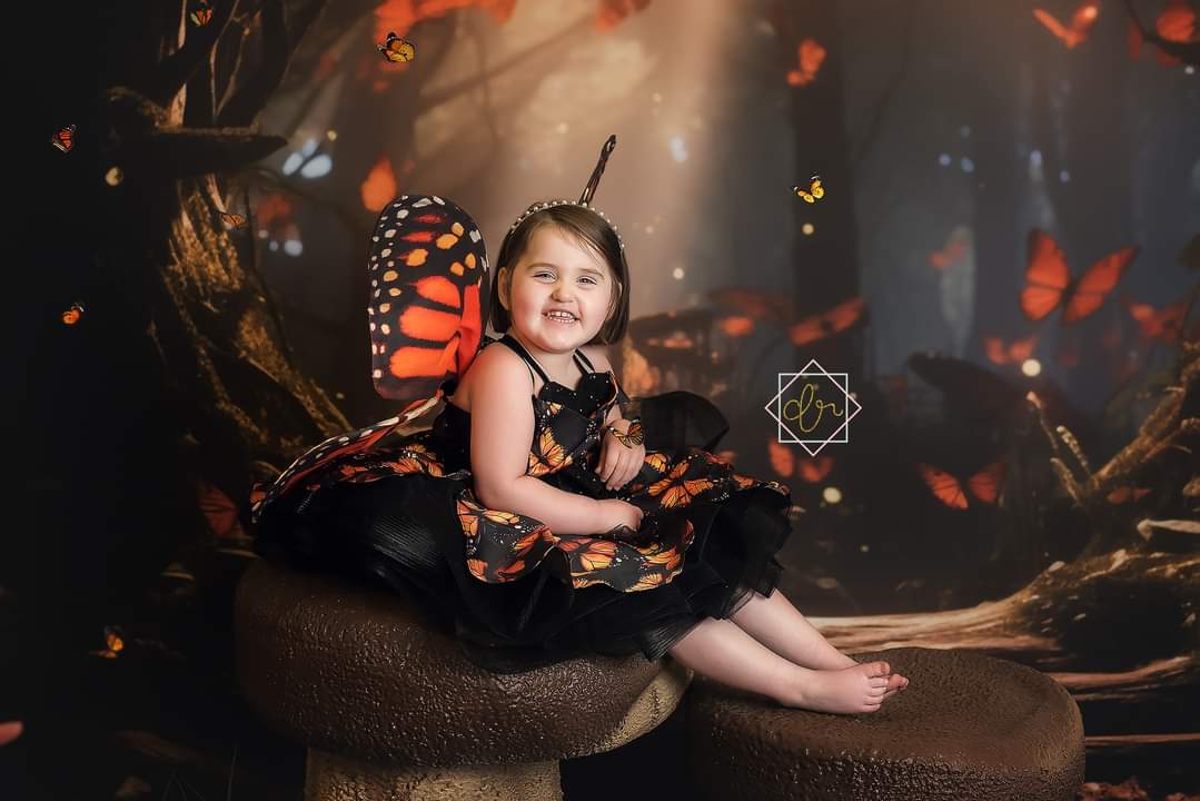 Monarch Cupcake Butterfly Dress