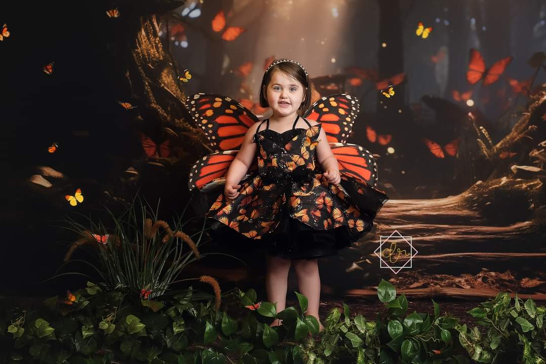 Monarch Cupcake Butterfly Dress