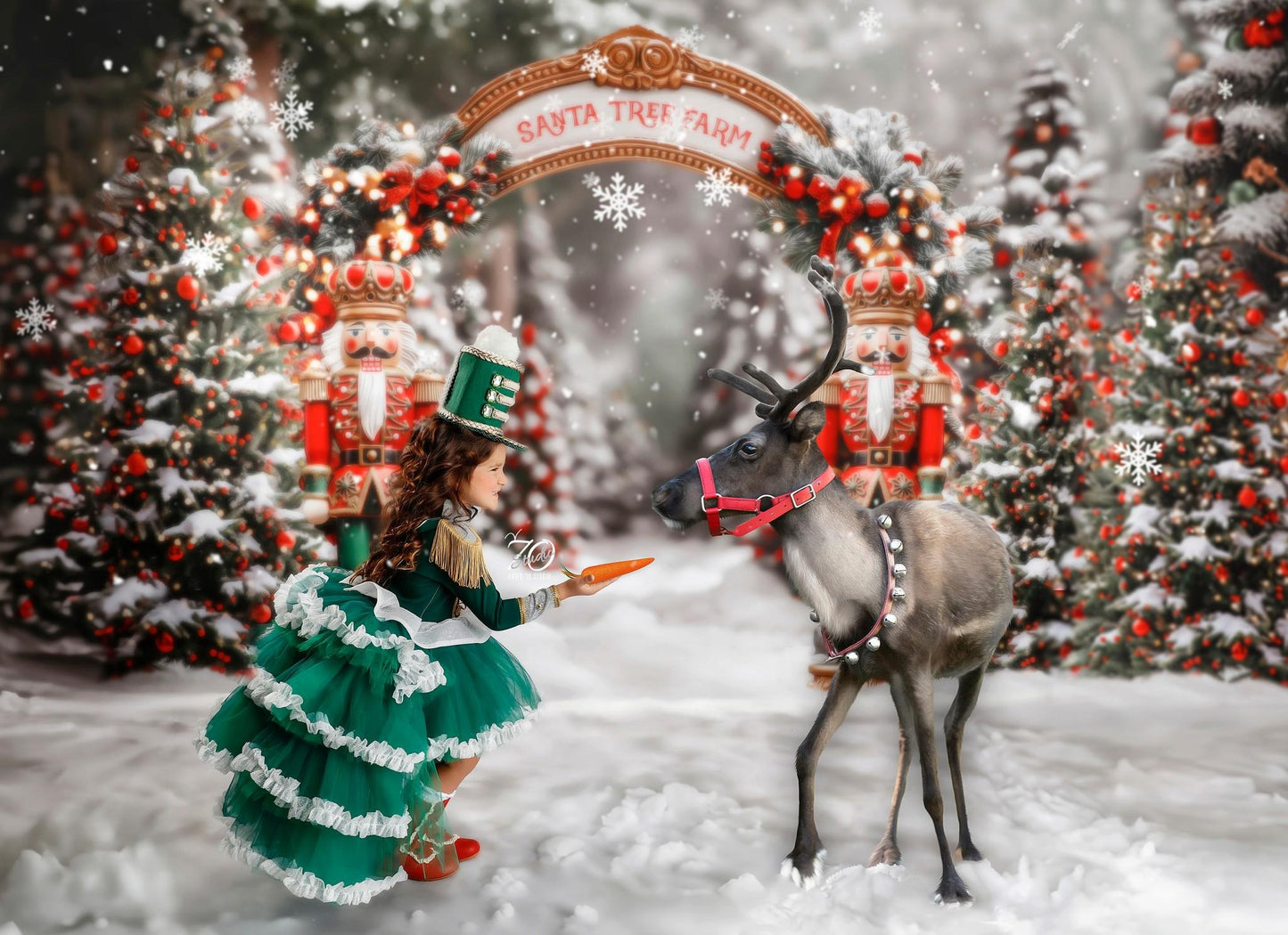 Emerald Nutcracker Dress with Train