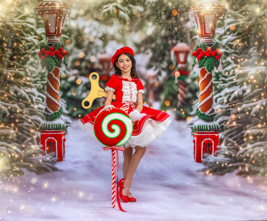 Classic Peppermint dress,The Holly READY TO SHIP