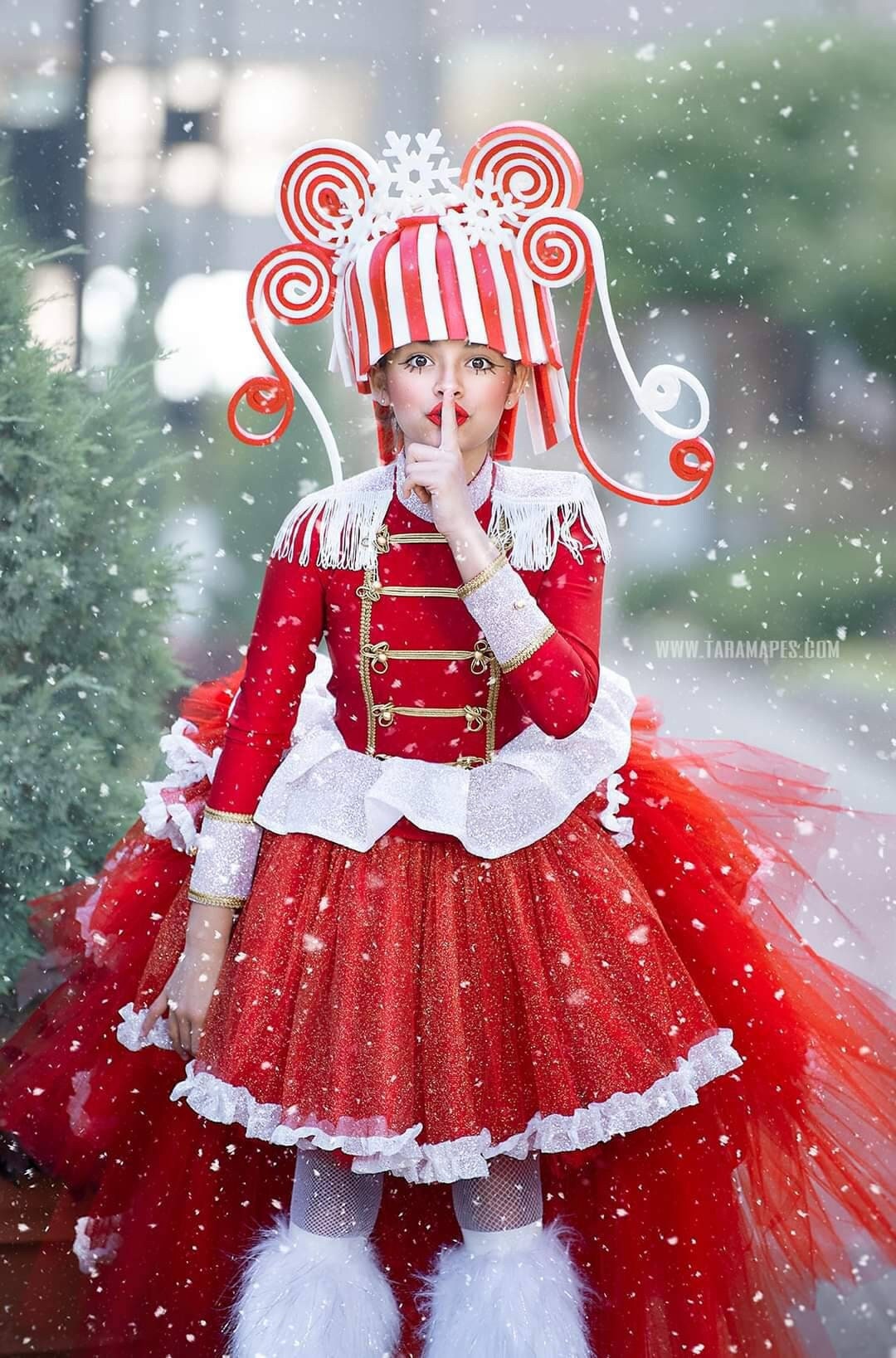 Girl nutcracker costume,girl circus outfit,soldier dress,tutu circus dress,showoman,Pink Circus Outfit