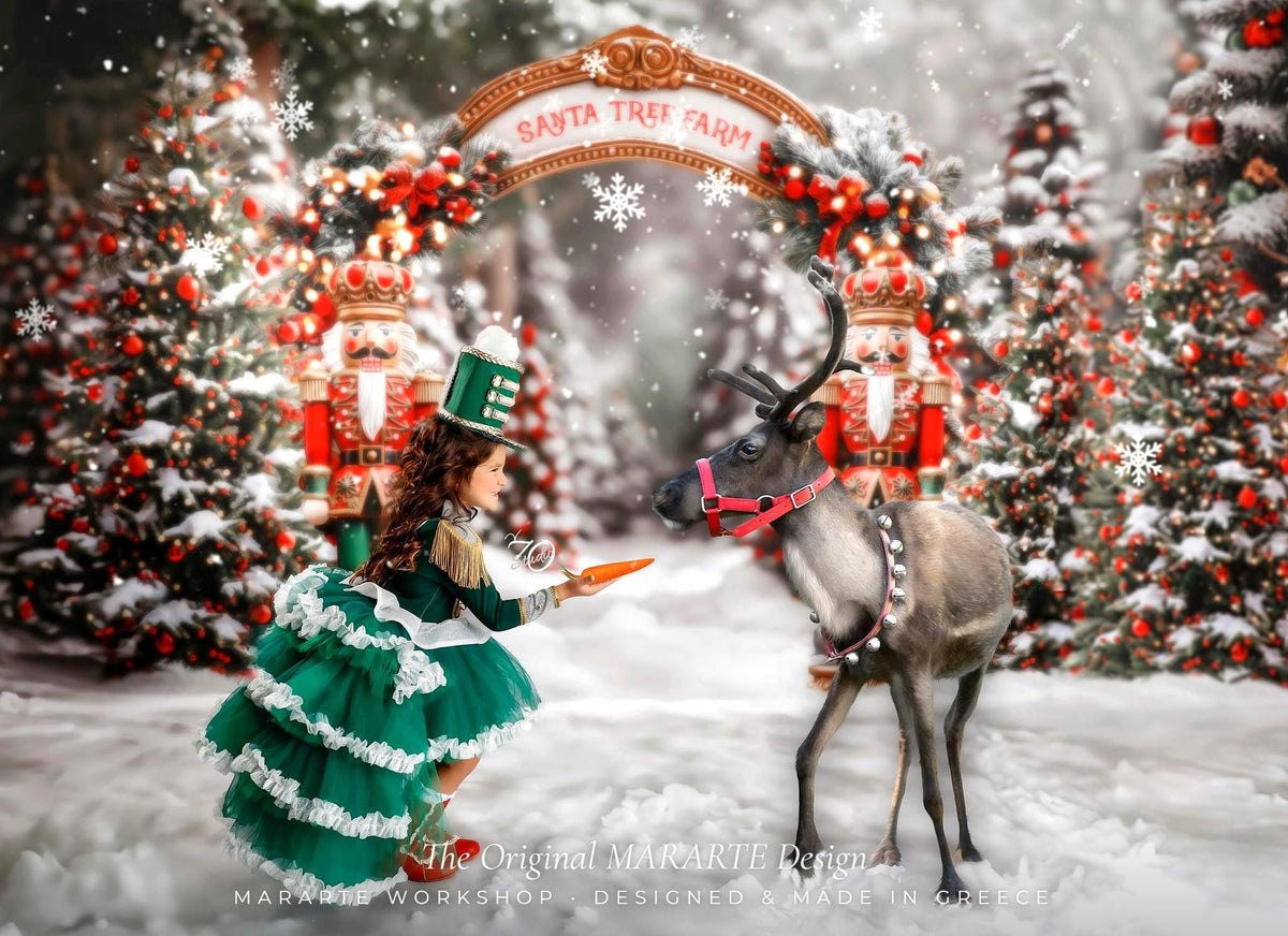 The Emerald Nutcracker Gown with Removable Train – photo 4