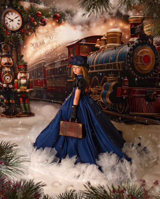 The Polar Elegance long Gown -Preorders