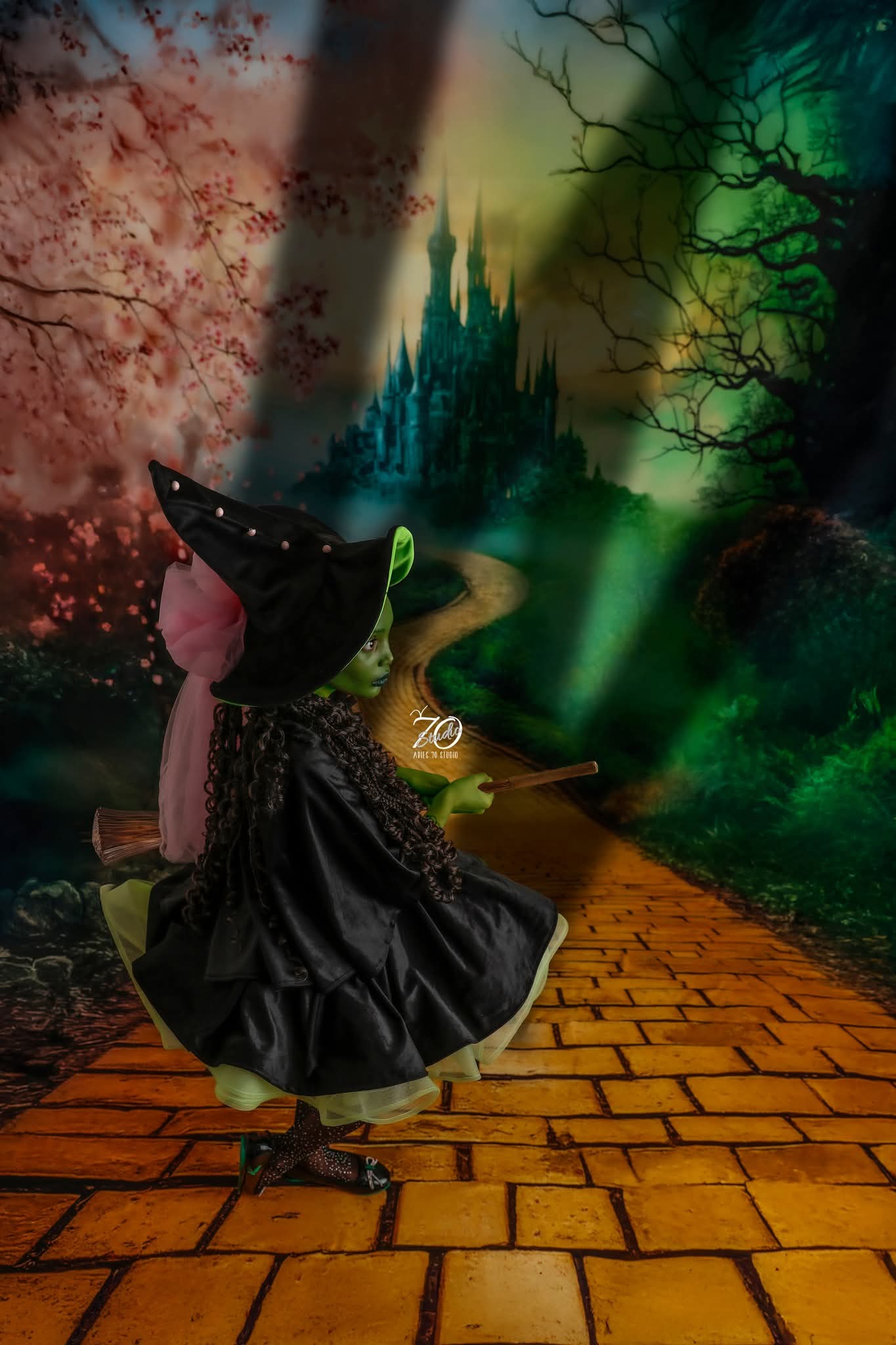 Elphaba costume custom for Korin